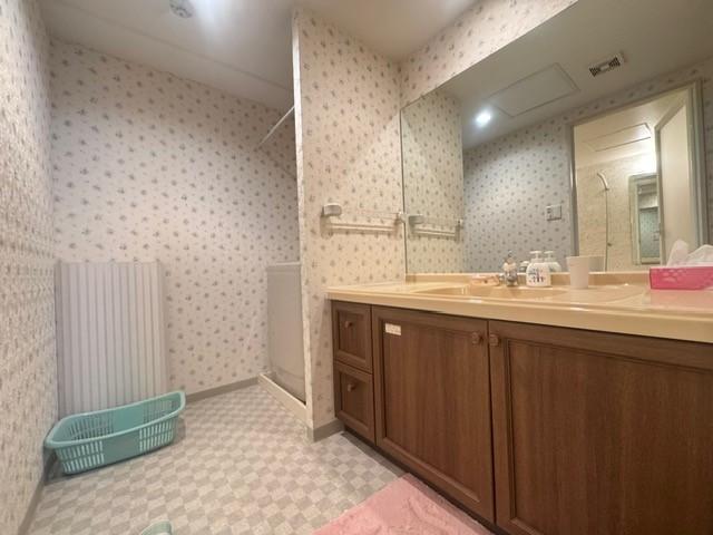 その他設備 洗面所  写真撮影日：2025-11-14