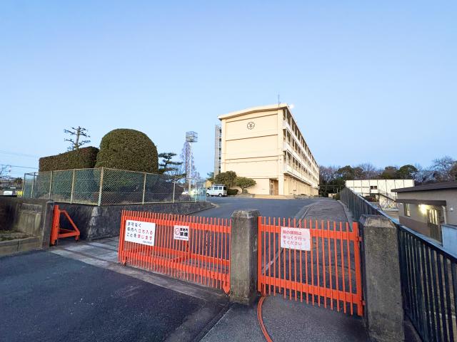 その他  写真撮影日：2026-01-31