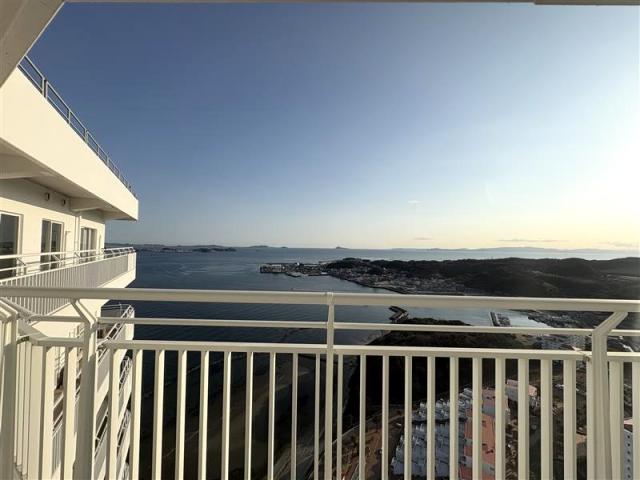 その他  写真撮影日：2026-02-09