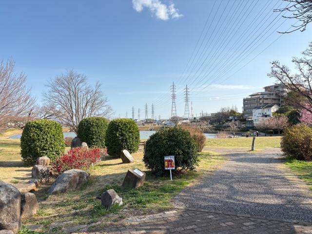 大蔵池公園 350m 写真撮影日：2026-03-07