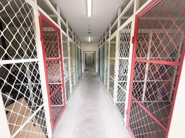 その他  写真撮影日：2026-04-05