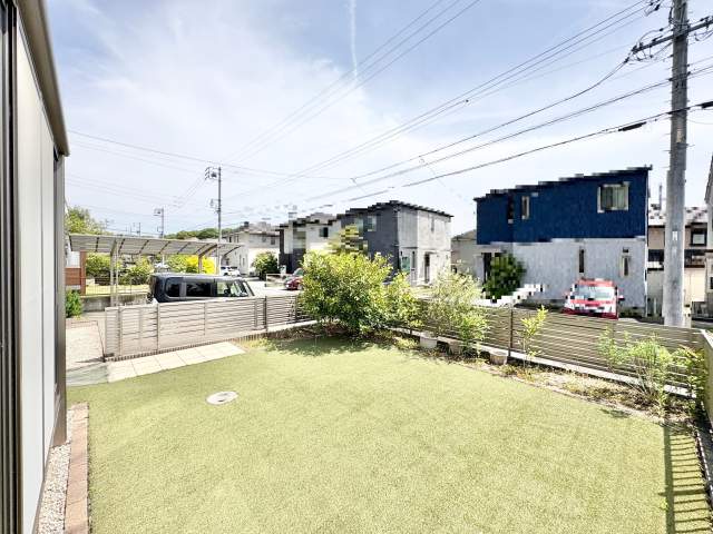 庭  写真撮影日：2026-05-31