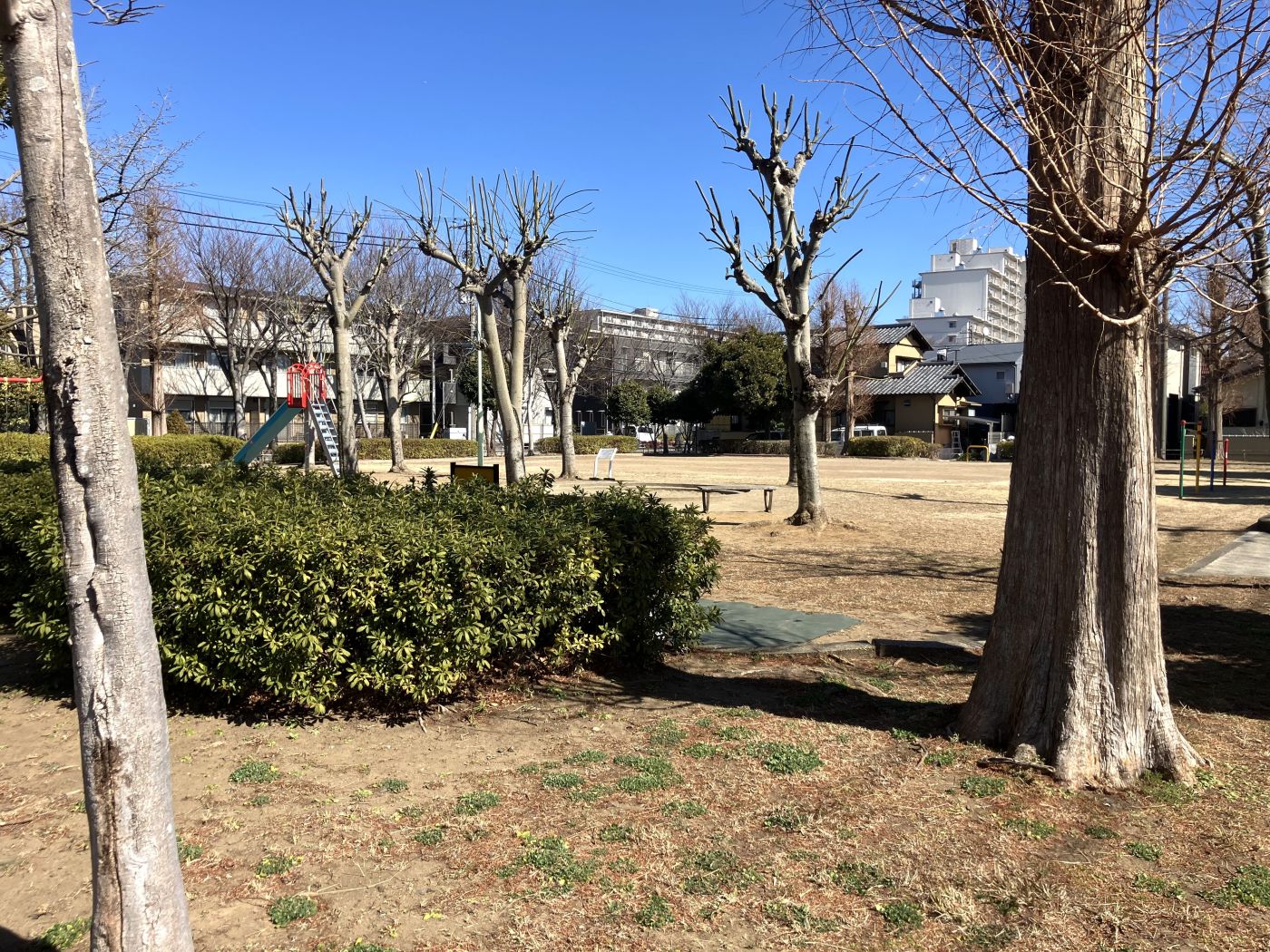 こぶし公園（2025年2月撮影）