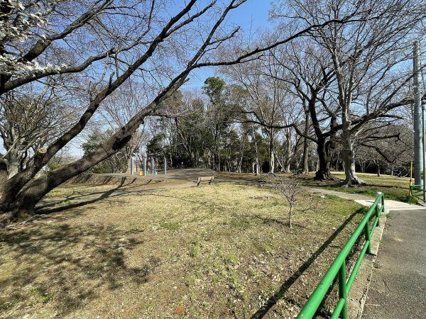 千城台西公園 290m 写真撮影日：2025-03-24 