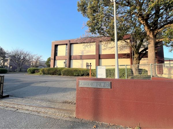 小谷小学校 800m 写真撮影日：2025-04-12 