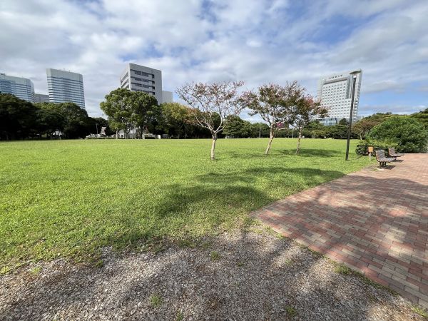 幕張海浜公園 450m 写真撮影日：2024-10-04 