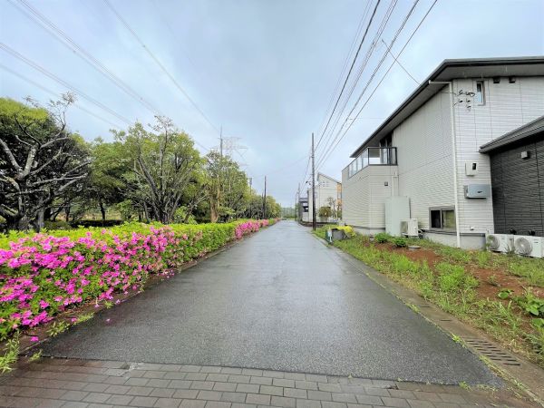 前面道路含む現地写真  写真撮影日：2025-05-02