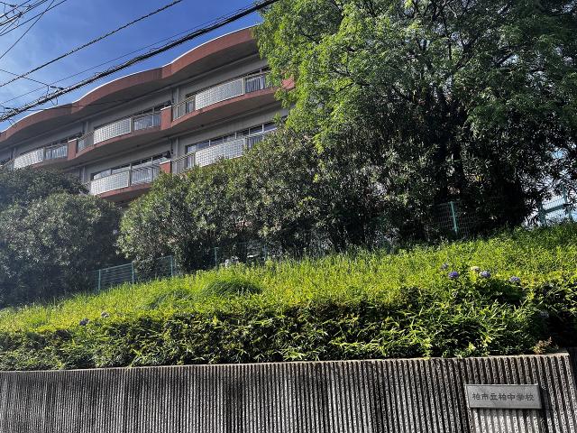 柏中学校 850m 写真撮影日：2025-06-08