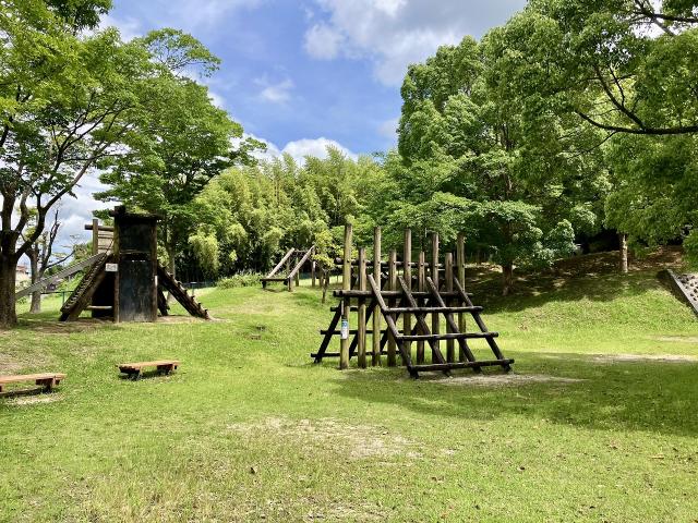 泉台中央公園 380m 写真撮影日：2025-06-30