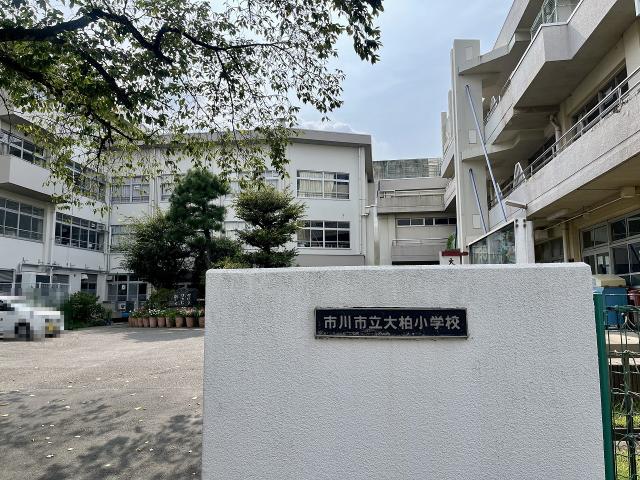 大柏小学校 350m 写真撮影日：2025-08-28