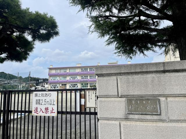 稲毛小学校 1040m 写真撮影日：2025-09-01