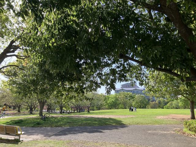 千葉市おゆみ野あきのみち公園 200m 写真撮影日：2025-09-08