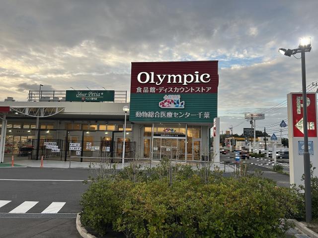 オリンピック千葉東店 1600m 写真撮影日：2025-09-27