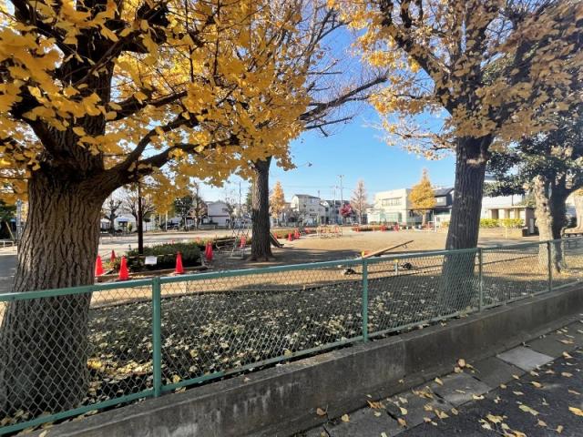 夏見台中央公園 350m 写真撮影日：2025-10-19