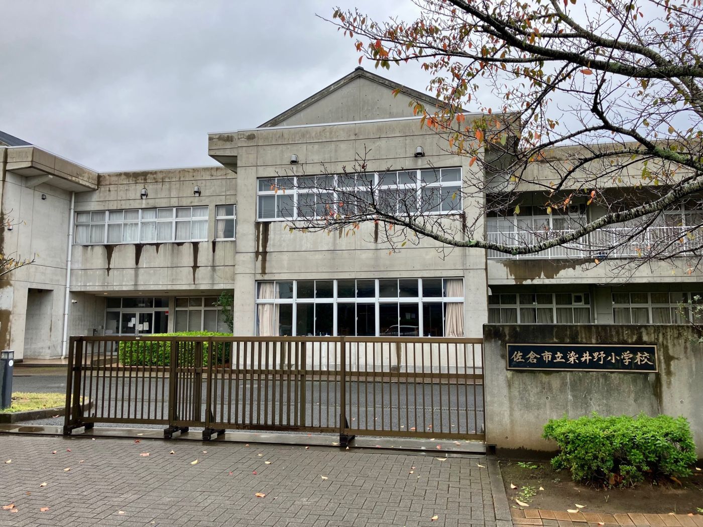 佐倉市立染井野小学校 写真撮影日：10/25/25, 12:00 AM