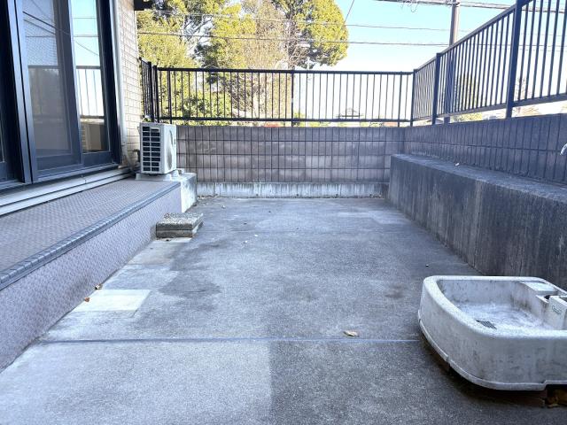 庭  写真撮影日：2025-12-18