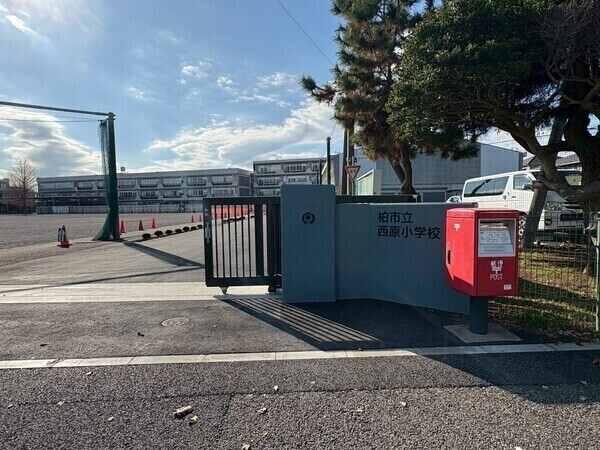 柏市立西原小学校／約590m