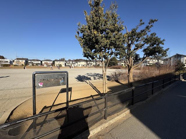 たかだの森公園 60m 写真撮影日：2026-02-05