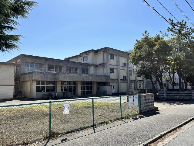 高洲中学校 500m 写真撮影日：2026-02-15