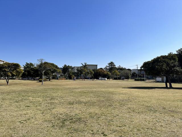 高浜公園 350m 写真撮影日：2026-02-15
