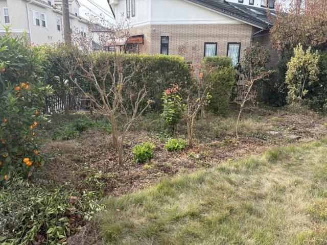 庭  写真撮影日：2025-12-22