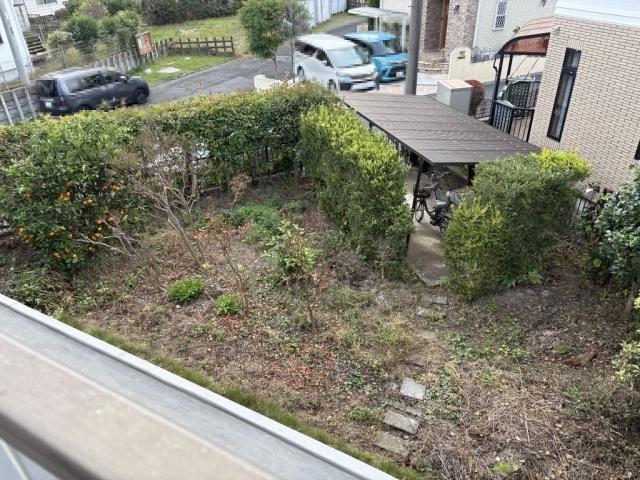 庭  写真撮影日：2025-12-22