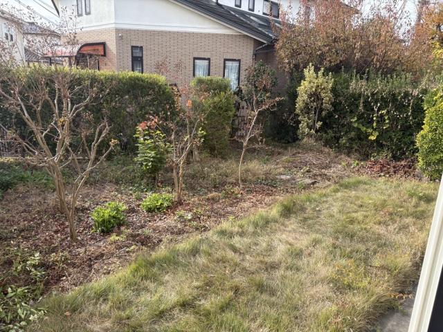 庭  写真撮影日：2025-12-22