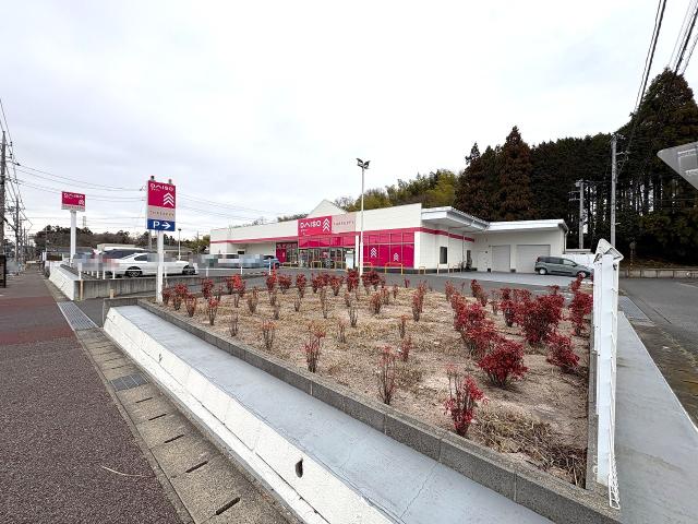 ダイソー大宮台店 600m 写真撮影日：2026-03-19