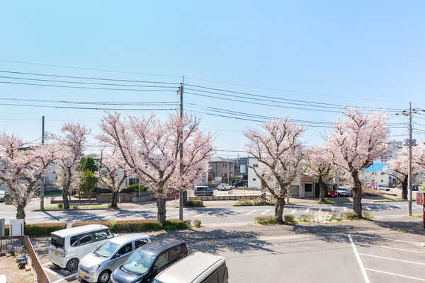 春には桜並木が一面に広がり、四季の移ろいを感じられます。