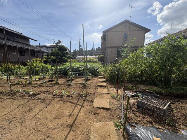 庭  写真撮影日：2026-05-16