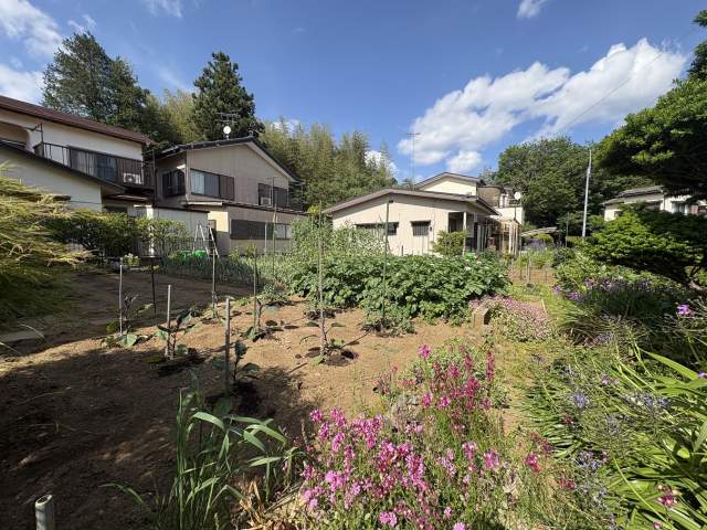 庭  写真撮影日：2026-05-16