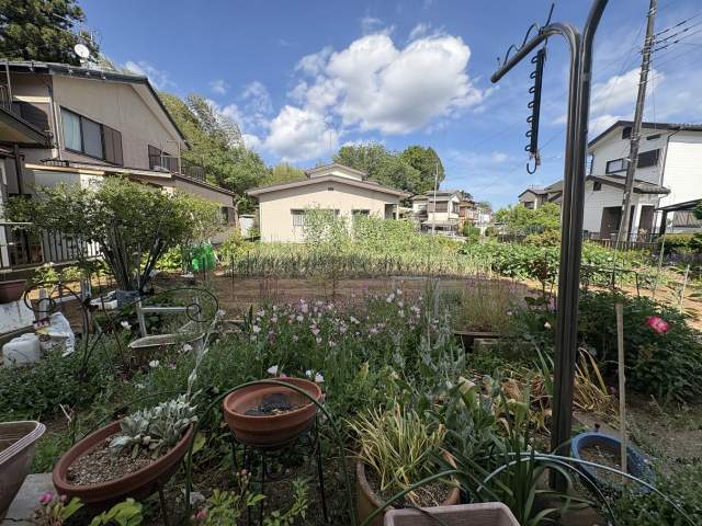 庭  写真撮影日：2026-05-16