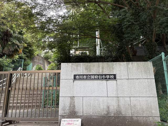 国府台小学校 1500m 写真撮影日：2026-06-29