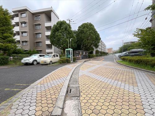 前面道路（２０２６年７月撮影）