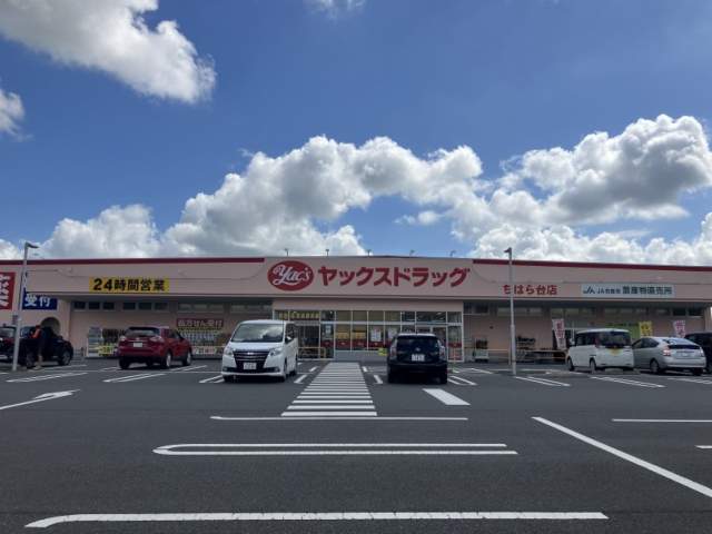 ヤックスドラッグ　ちはら台店 900m 写真撮影日：2026-10-16