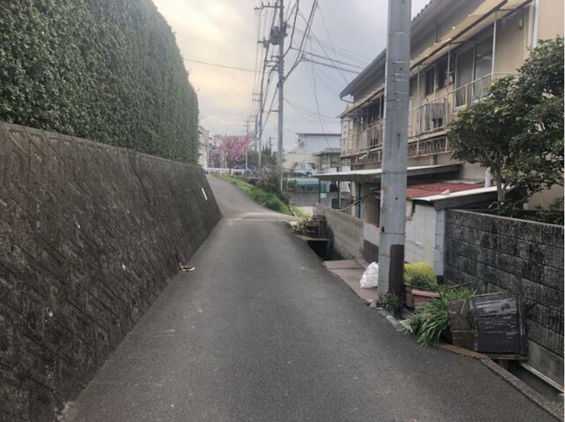 前面道路（南側） 写真撮影日：3/20/23, 12:00 AM