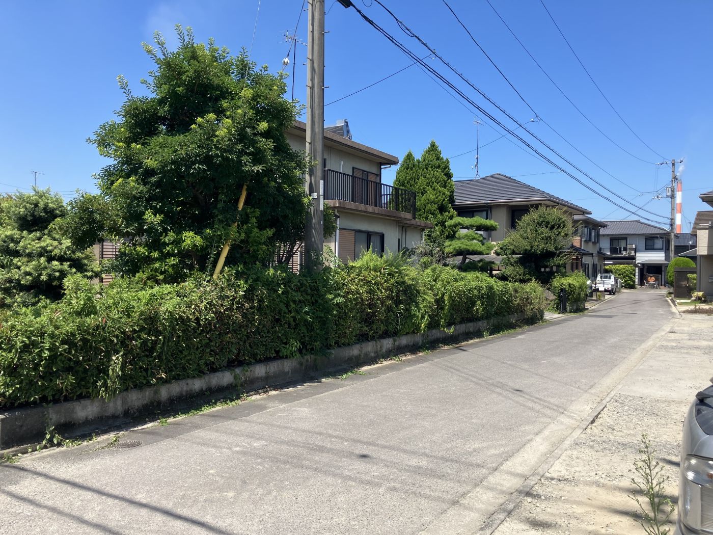 東側前面道路 写真撮影日：8/2/24, 12:00 AM
