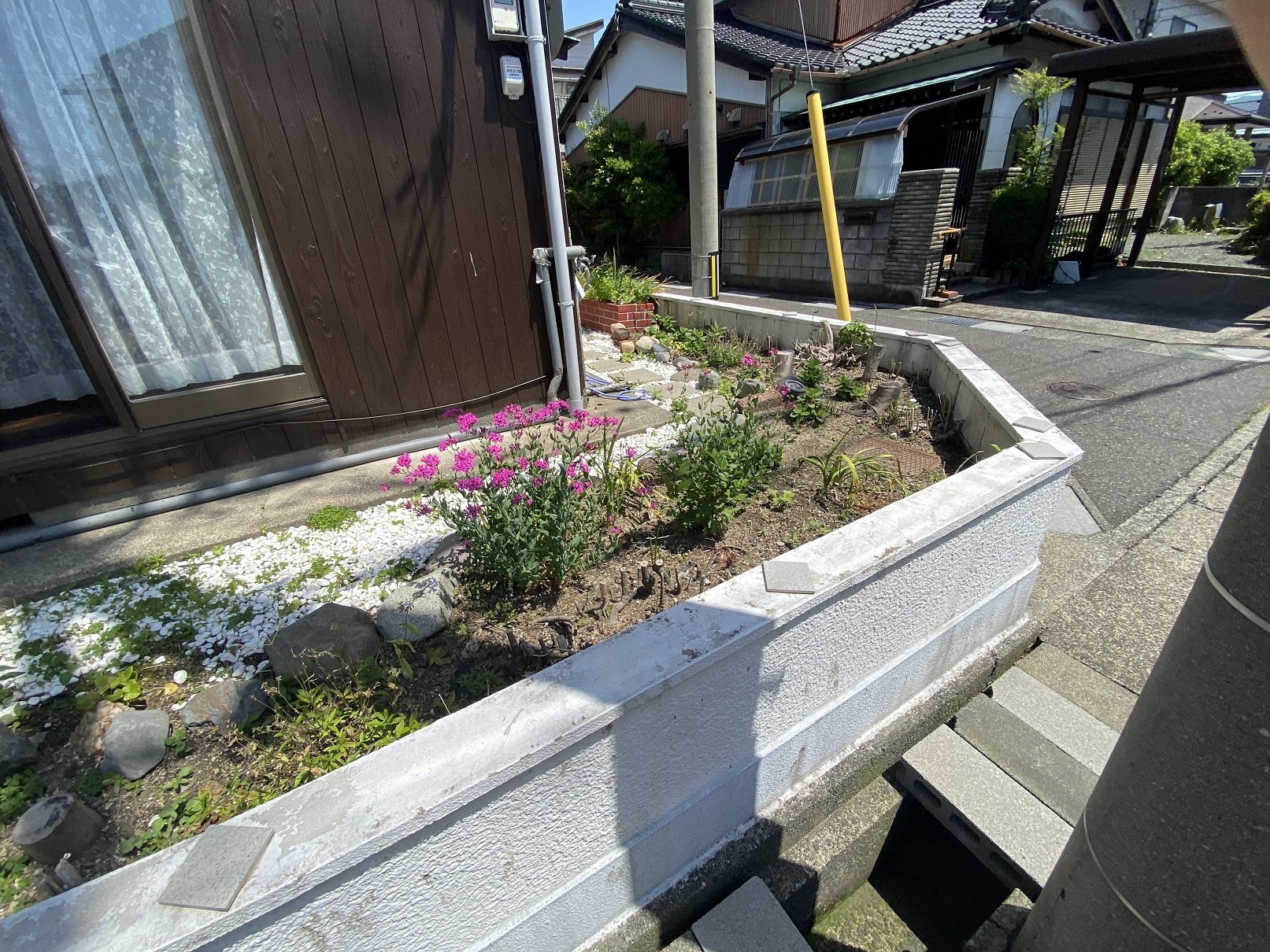 庭（花壇）