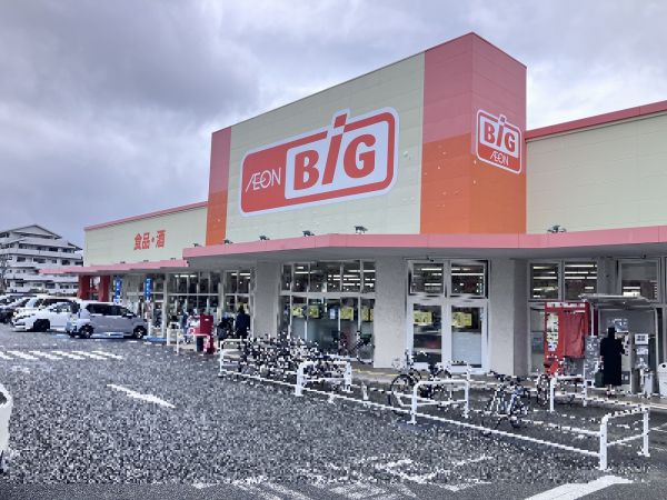 ザ・ビッグ久留米すわの店 130m 写真撮影日：2025-03-14 