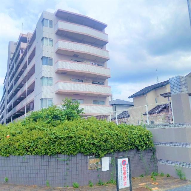 現地外観写真  写真撮影日：2025-07-19