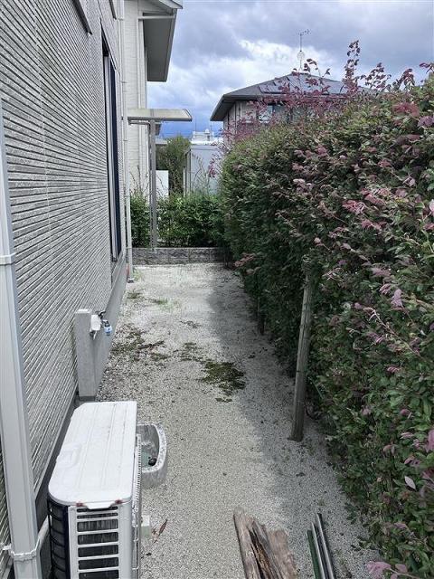 庭  写真撮影日：2025-07-25