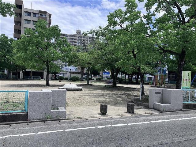 今村公園 250m 写真撮影日：2025-07-25