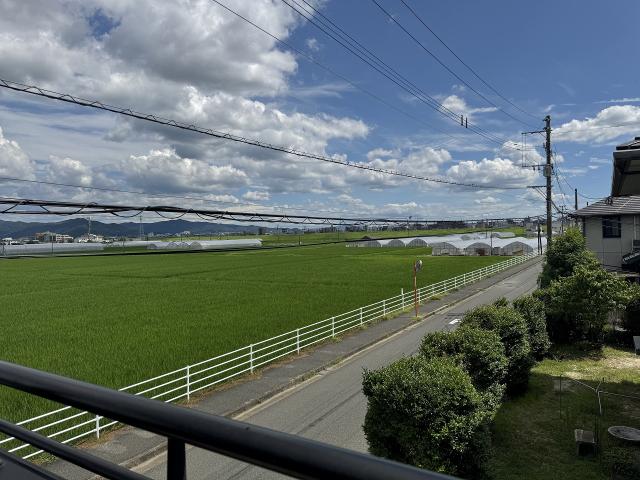 住戸からの眺望写真  写真撮影日：2025-07-25