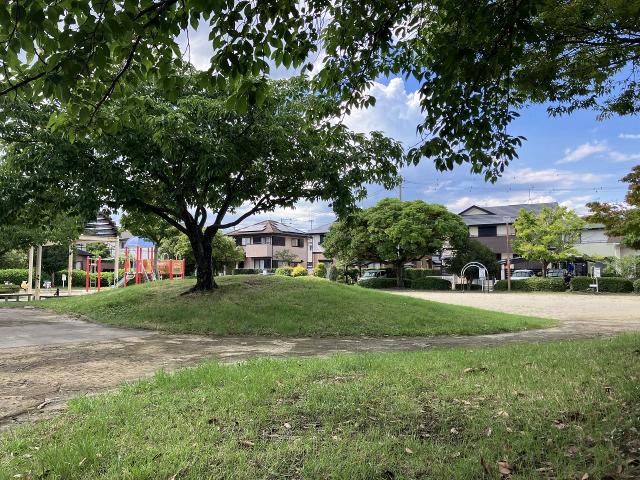 浪打公園 140m 写真撮影日：2025-07-25