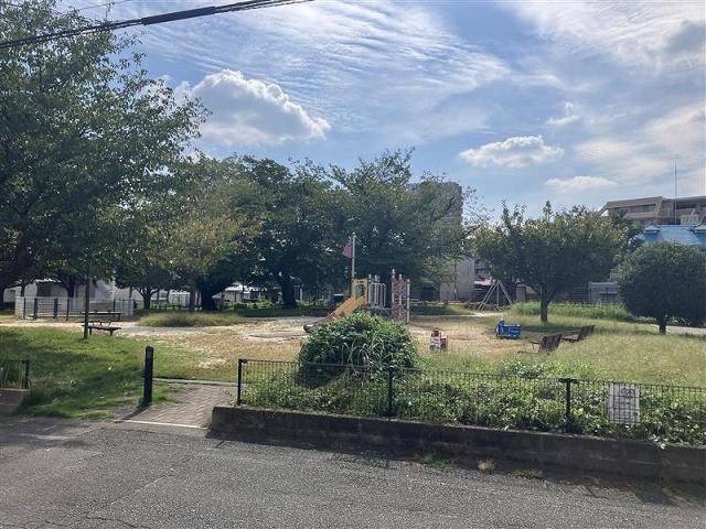 瑞穂公園 250m 写真撮影日：2025-10-06