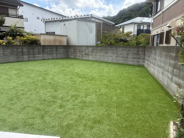 庭  写真撮影日：2026-06-26