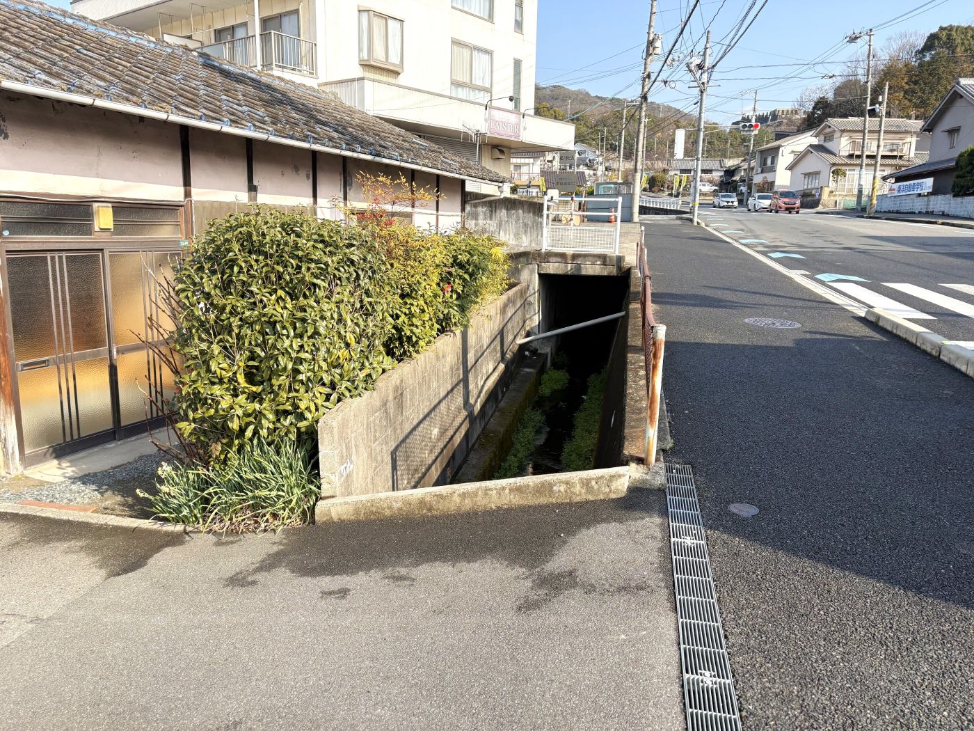 現地写真