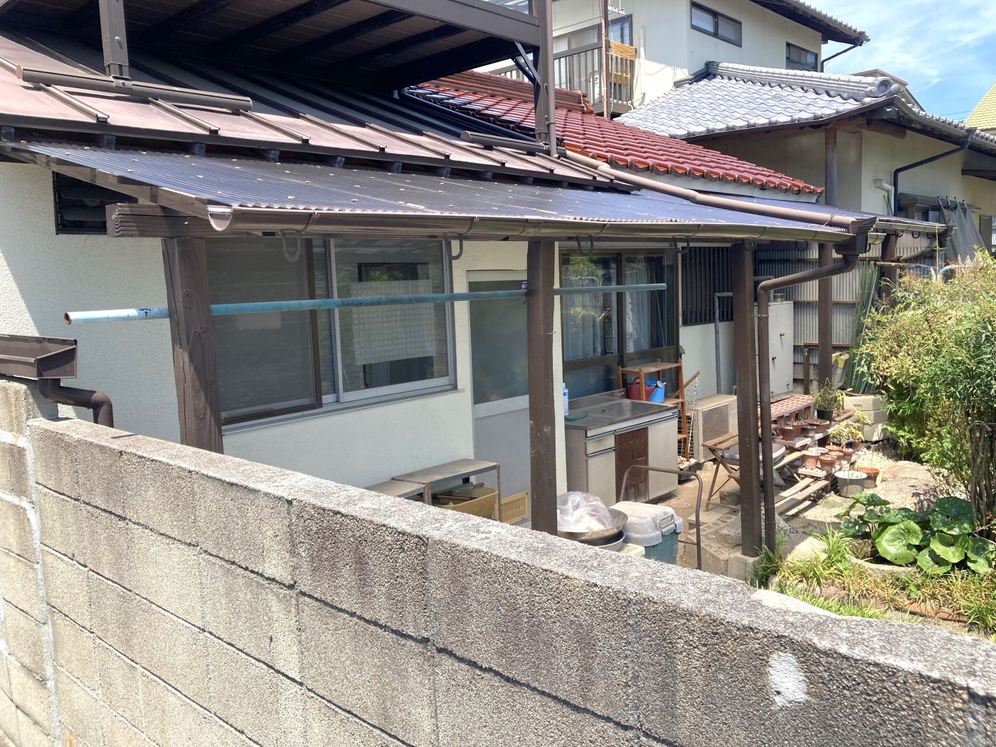 現地写真