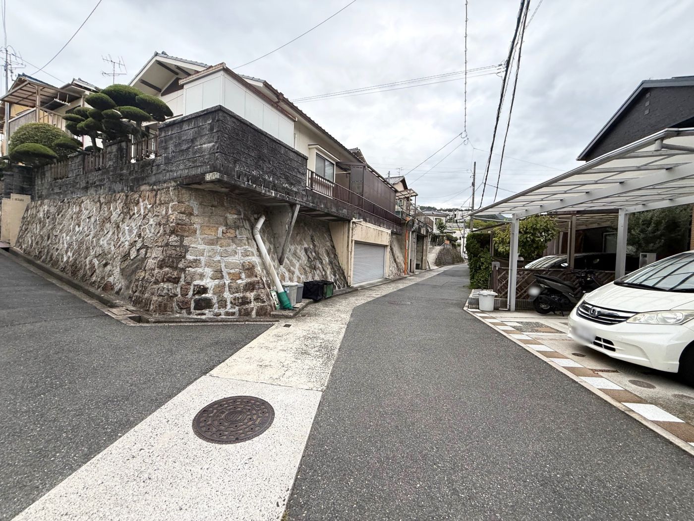 現地写真