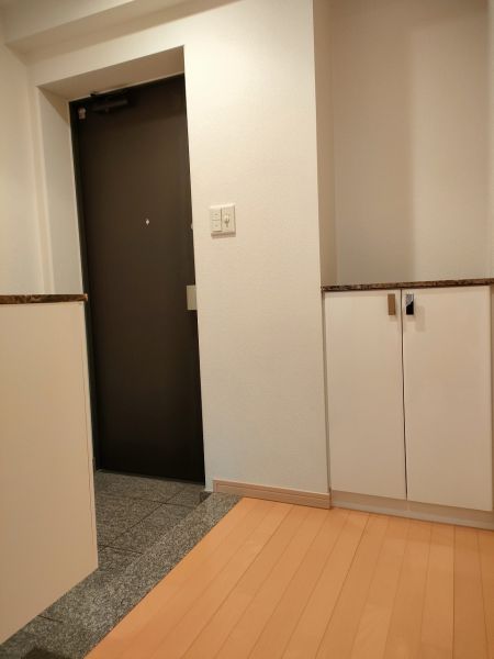 玄関  写真撮影日：2025-04-26